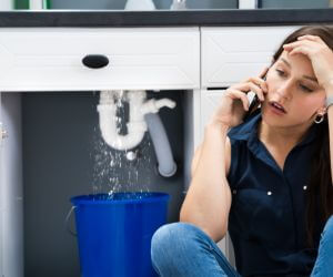 About Plumbers Pros Pitkin, LA